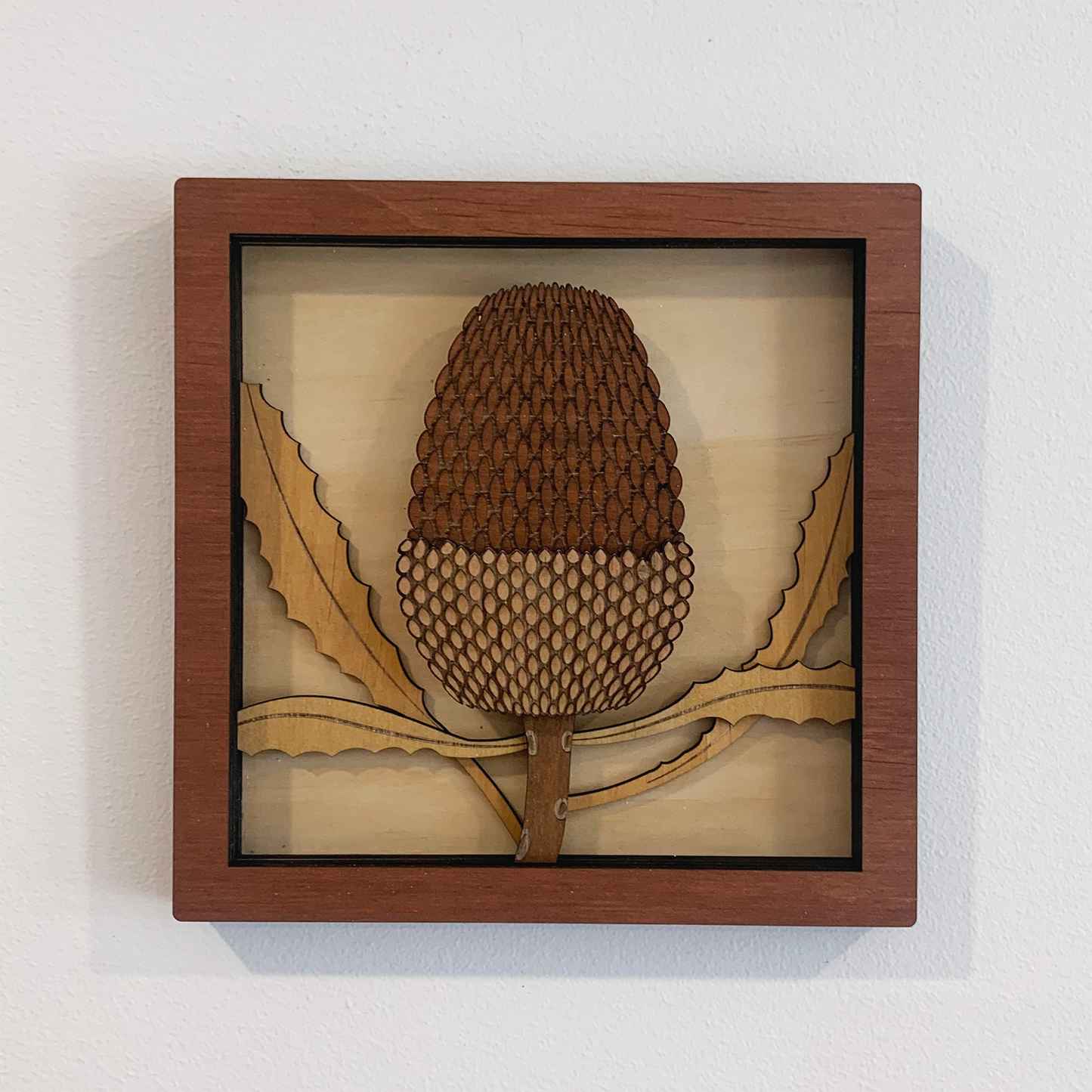 Australian Flora Collection