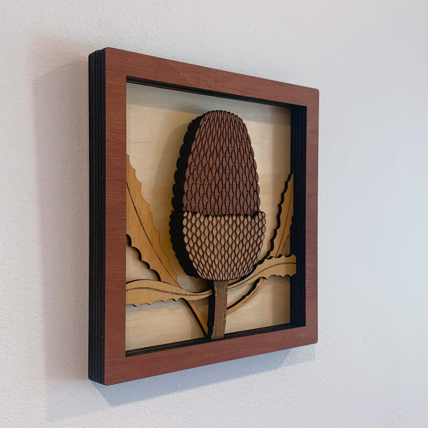 Australian Flora Collection