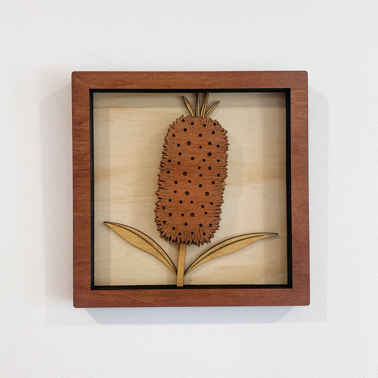 Australian Flora Collection