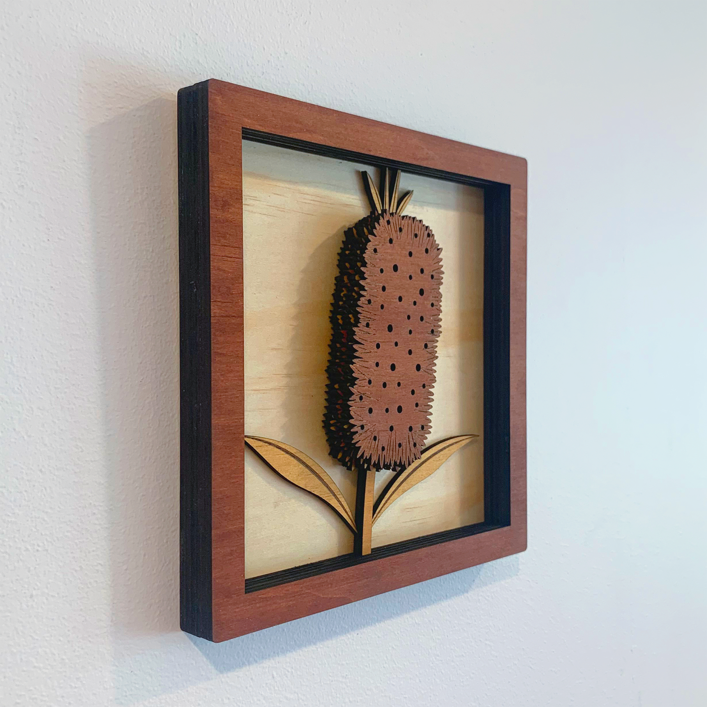 Australian Flora Collection