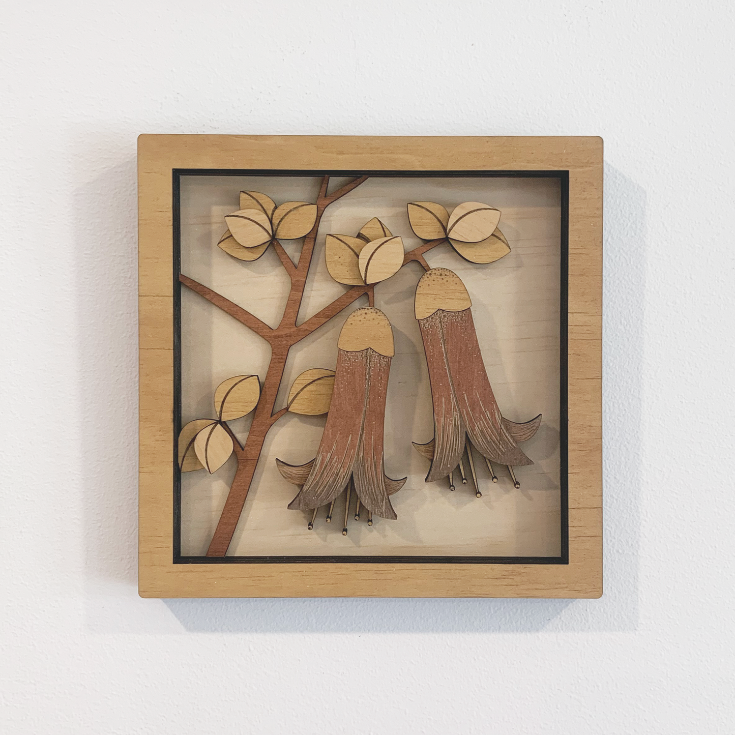 Australian Flora Collection