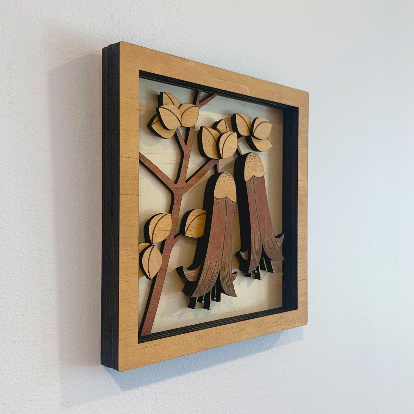 Australian Flora Collection