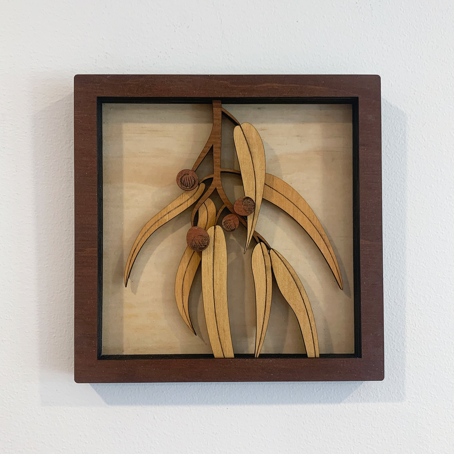 Australian Flora Collection