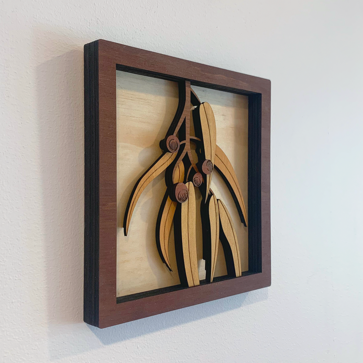 Australian Flora Collection