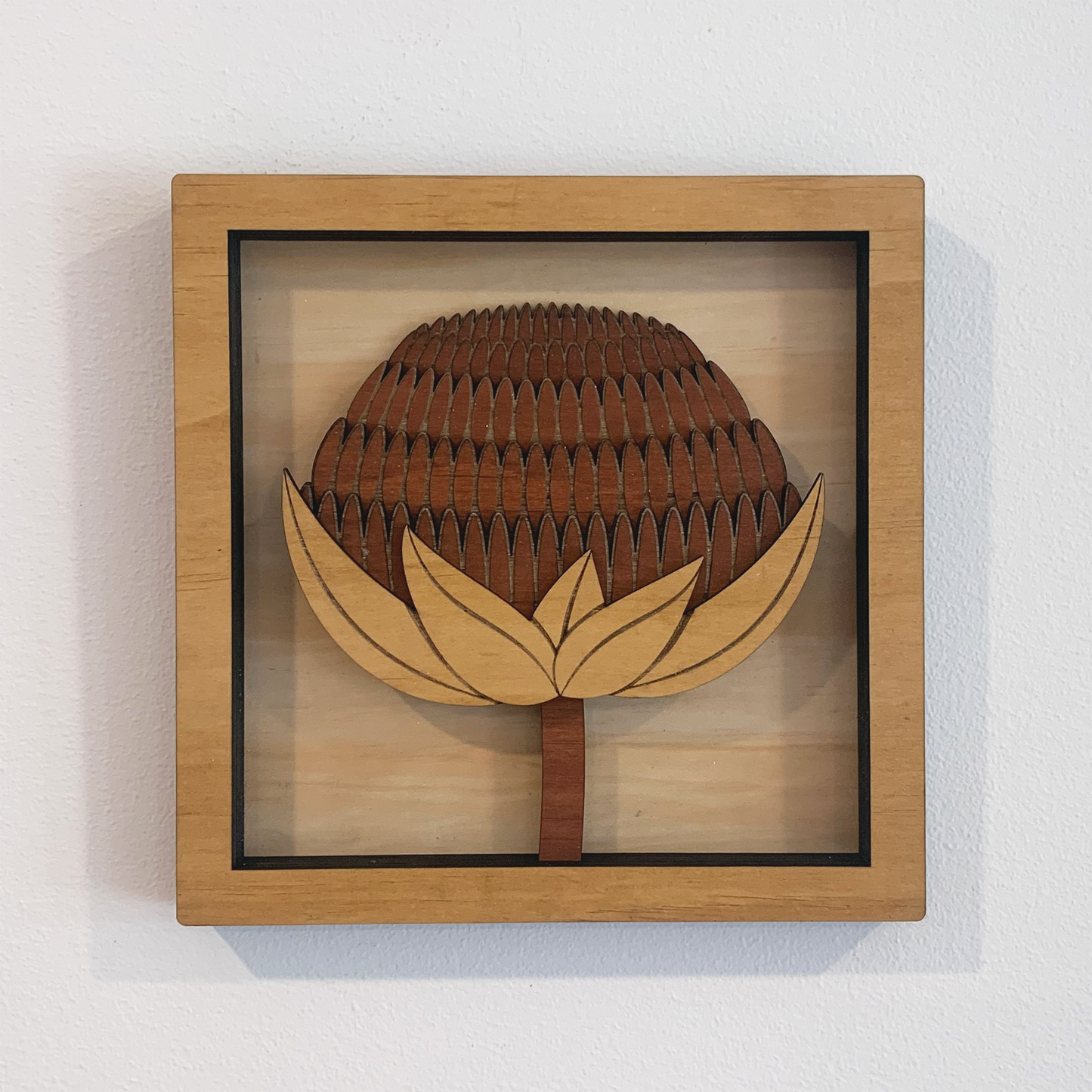 Australian Flora Collection