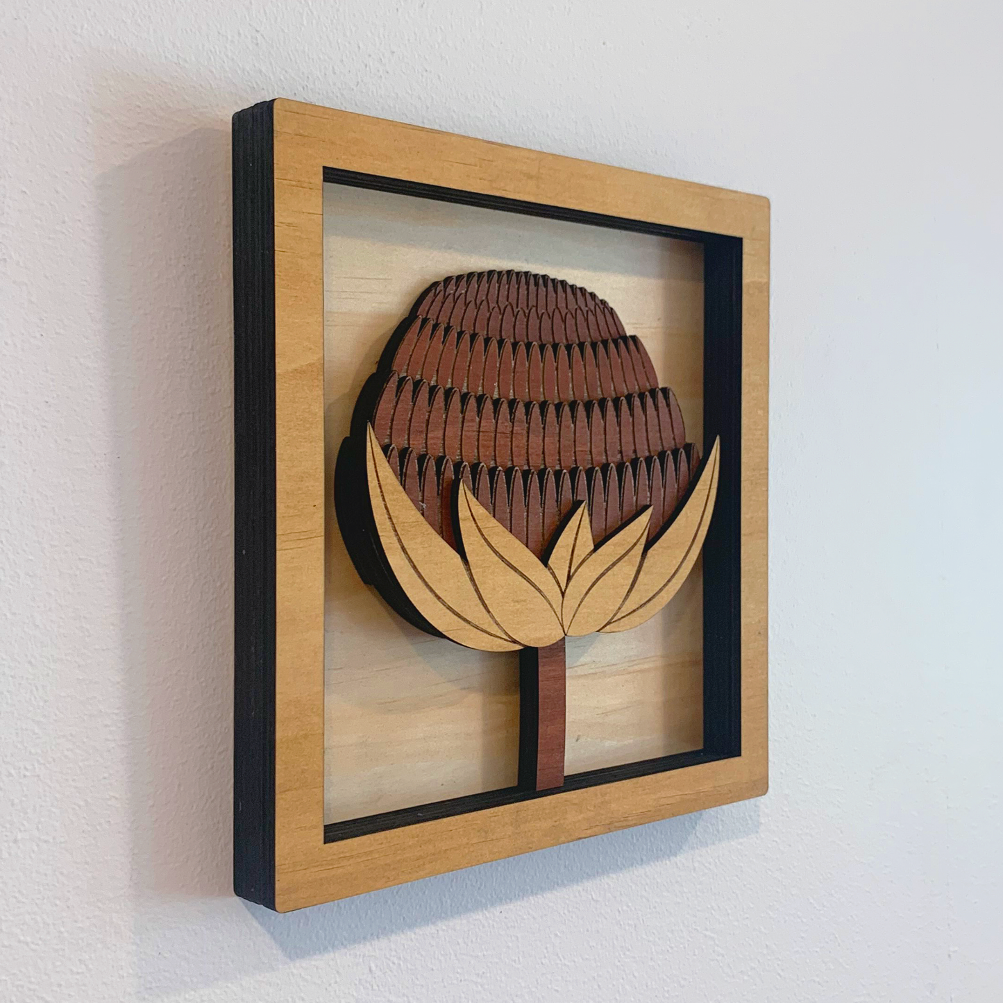 Australian Flora Collection