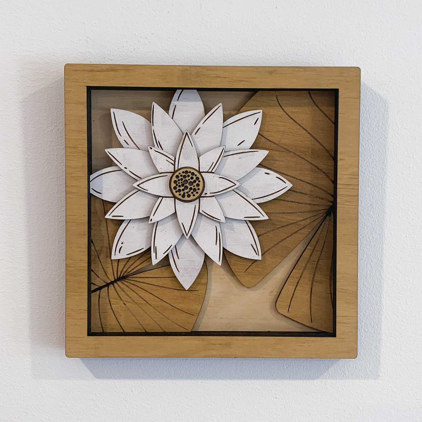 Australian Flora Collection