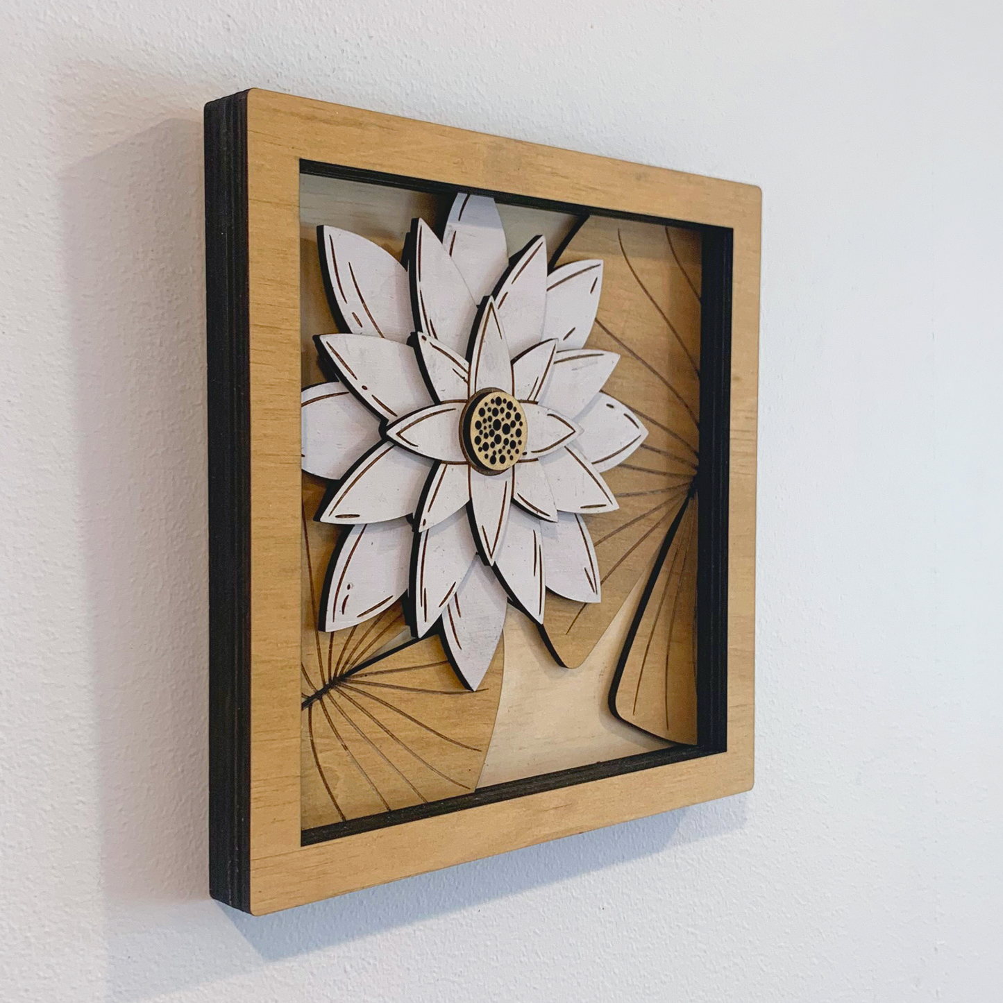 Australian Flora Collection