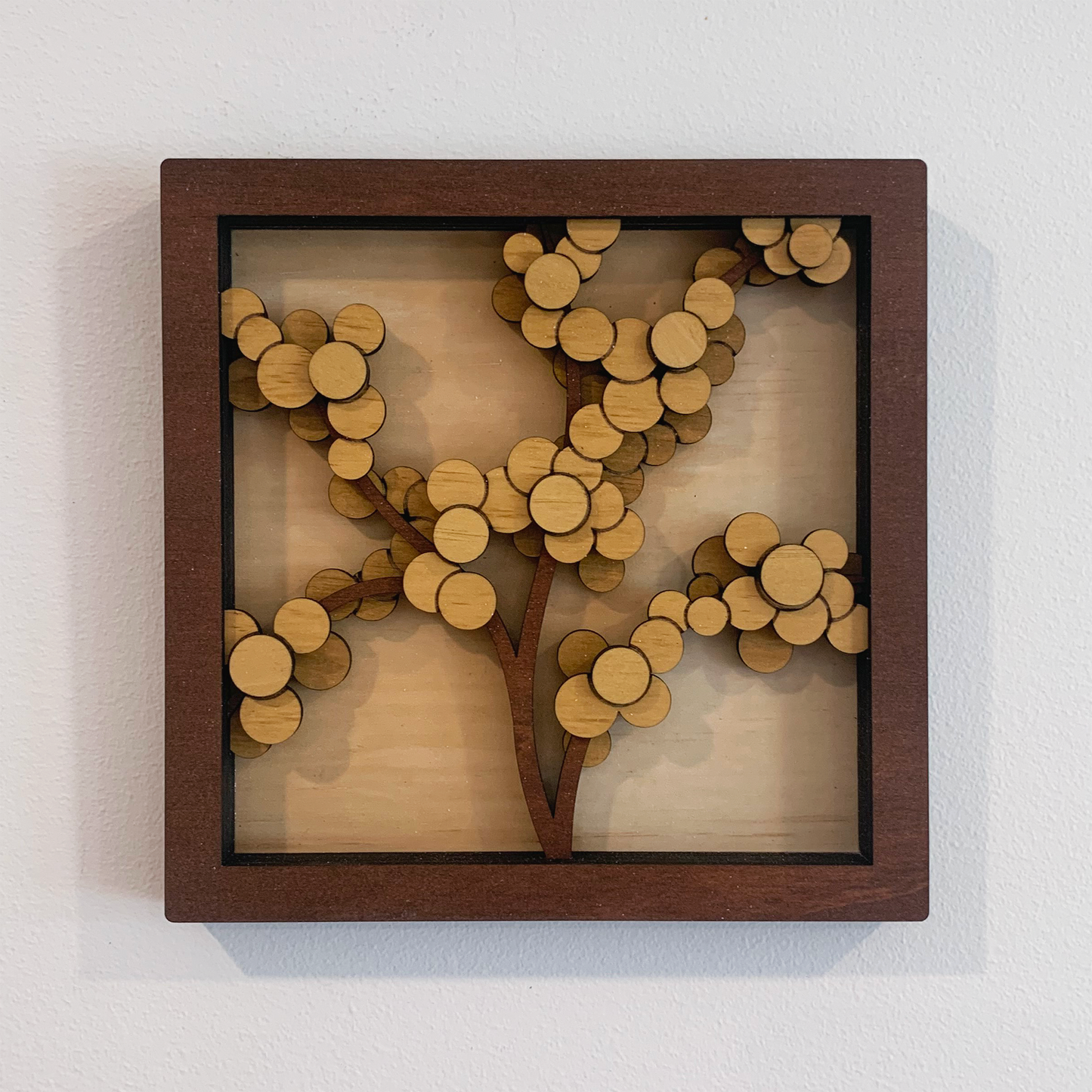 Australian Flora Collection