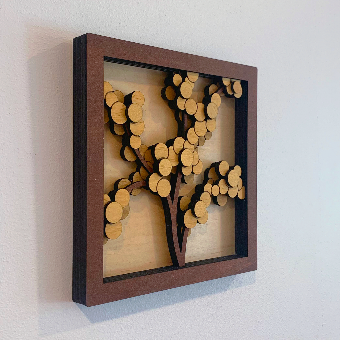 Australian Flora Collection