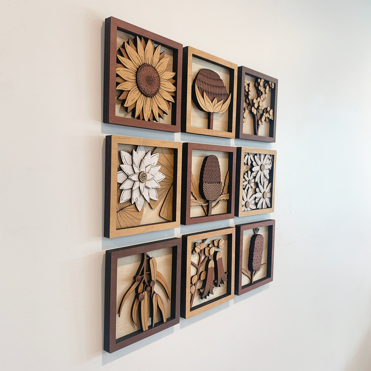 Australian Flora Collection